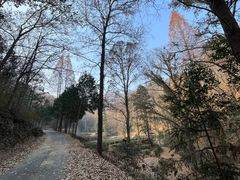 -素山寺森林公园