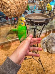 -酷嗒动物文化乐园(cutezoo西溪乐天城店)