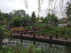 -成飞公园