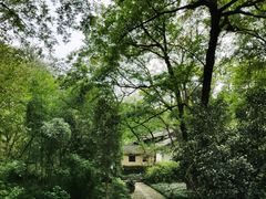 -法云古村