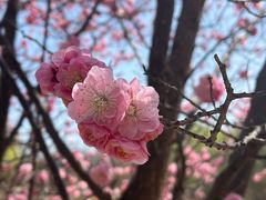 -北京奥林匹克公园