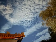 -中山公园音乐堂
