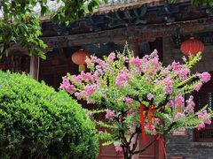 -兴教寺