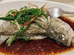 -津津菜馆(绝没分店)
