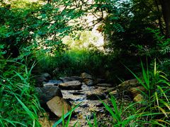 -碓臼峪自然风景区