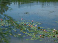 -白鹭湾湿地公园