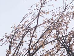 -观澜湖生态运动公社