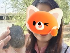 -绿堤公园