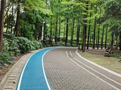 -苏州河梦清园环保主题公园