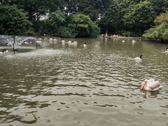 -广州长隆飞鸟乐园