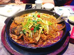 -老板恋上鱼(荣盛广场店)