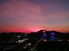 -大湾区中央湿地公园