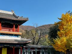 -潭柘寺景区