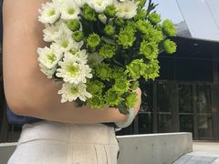 -凤凰中心
