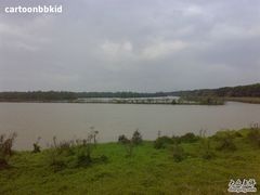 -大湾区中央湿地公园