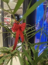 -BRANS PORO布朗斯伯勒西装高级定制·瑞璞西装(金陵店)