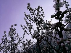 -北京凤凰岭