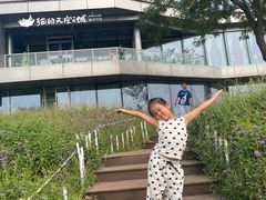 -猫的天空之城概念书店(北戴河蔚蓝海岸店)