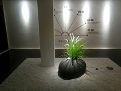 -朴境采耳·足道按摩(科学大道旗舰店)