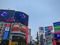 -涩谷区