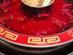 -陈眼镜火锅(总店)