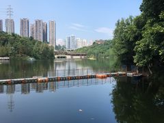 -重庆彩云湖湿地公园