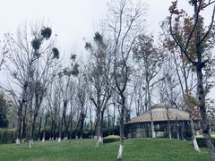 -云南民族村