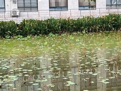 -南华大学(红湘校区)