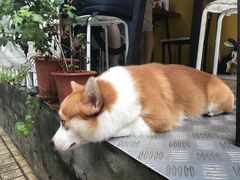 -小梁哥云吞面(黄贝岭店)