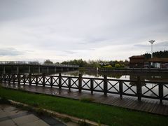 -呼兰河口湿地公园