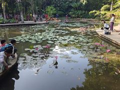-西双版纳总佛寺
