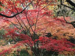 -西湖文化广场