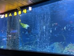 -锦艺城海洋馆