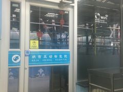 -纳吉亚猫专科动物诊疗中心(蒋宅口分院)