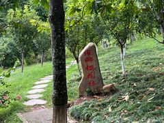 -神光山国家森林公园