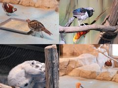 -海合安武汉极地海洋公园