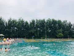 -柳浪游泳场