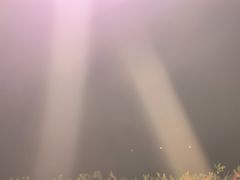 -渔家火锅·海鲜自助餐·演艺(亚龙湾天域酒店)