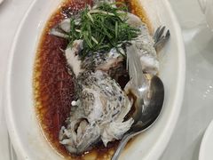 -金华安大酒楼·老牌潮菜·粤式茶点(东方国际店)