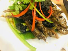 豉香多春鱼-点都德(汇盈广场店)
