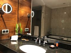 -新加坡文华东方酒店