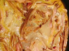 -凤凰湘语·湘粤鲜融(浦东旗舰店)