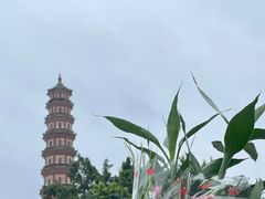 -广州莲花山旅游区