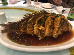 老济南糖醋鲤鱼-金春禧·鲁菜海鲜(延吉路万达店)
