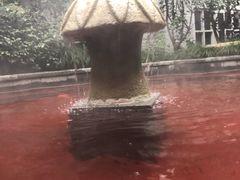 -杭州第一世界大酒店·云曼温泉