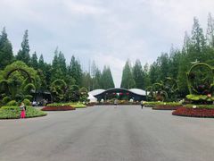 -东平国家森林公园