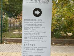 -三里屯东五街银杏大道