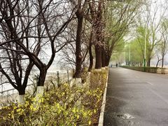 -长白岛森林公园