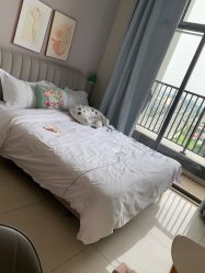 -敦南真爱月子会所(黄埔店)