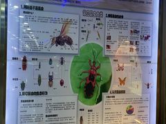 -上海大自然野生昆虫馆(东方明珠·爬宠昆虫探索中心)